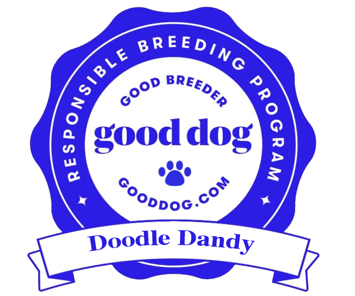 Doodle Dandy Puppy Love